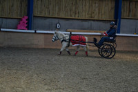 Stonechester-7497