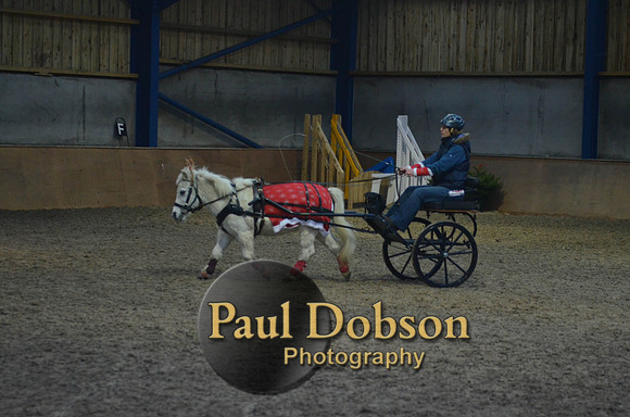 Stonechester-7496
