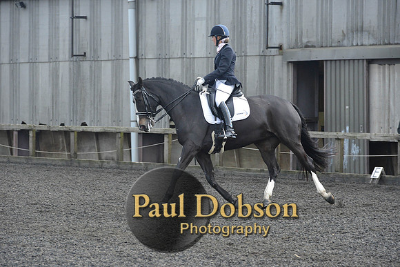 dressage-7269