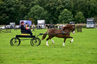 Class 4 Wagon Cart