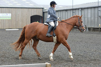 dressage-5423