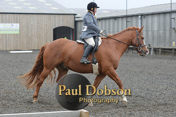 dressage-5423