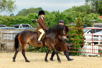 cl246586k