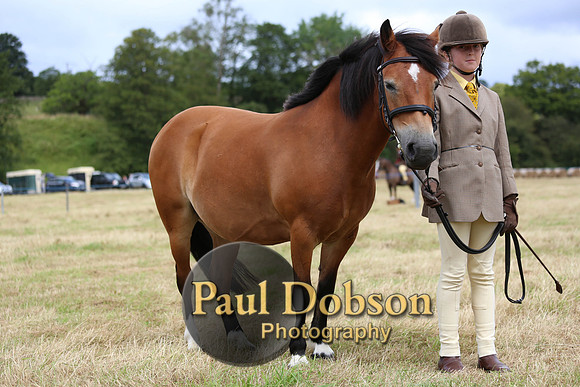 b_143369