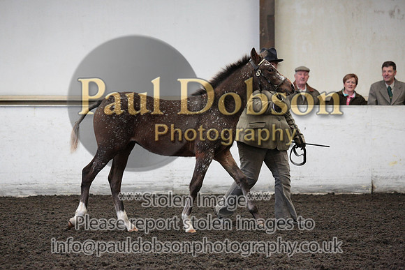 2C196703