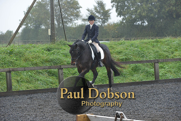 dressage-6601