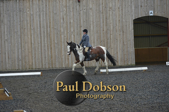 dressage-6330