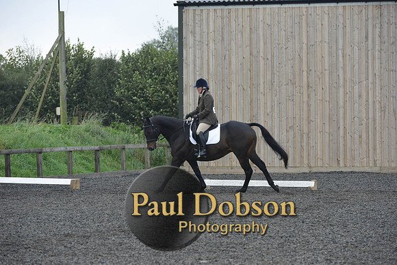 dressage-5188