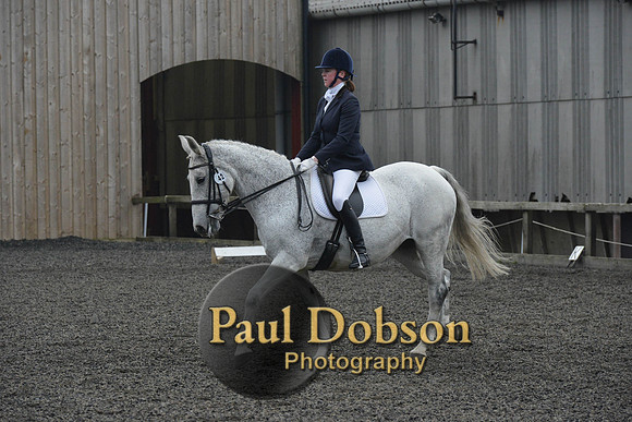 dressage-5732