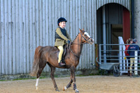 Class 01-BSPS Mixed Height Novice