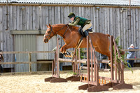 Class 07-BSPS RIHS Open 153cm WHP