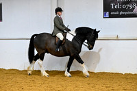 Class 09- UA Horse,Pony