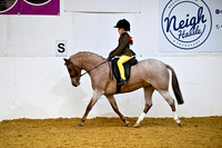 Class 12-BSPS Mixed Ht Novice Show HP