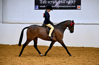 Class 16-BSPS Mixed Ht Novice Show Pony