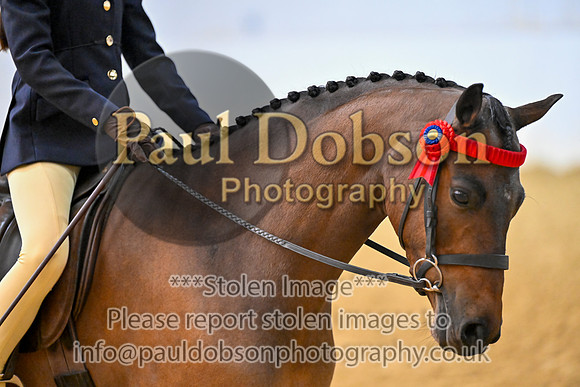 _0165310