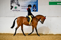 Class 17-BSPS Mixed Ht Open Challenge Show Pony