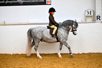 Class 18-Walk and Trot