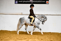 Class 22-BSPS Heritage M and M Open Chall 1st Ridden