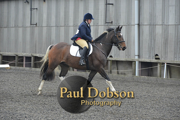 dressage-5709