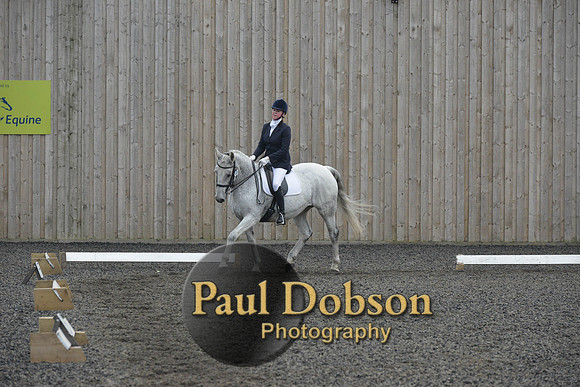 dressage-5725