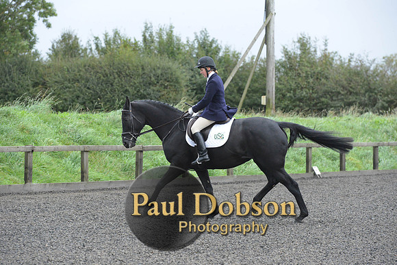 dressage-5908