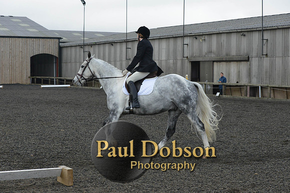 dressage-4549