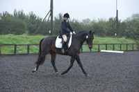 dressage-6585