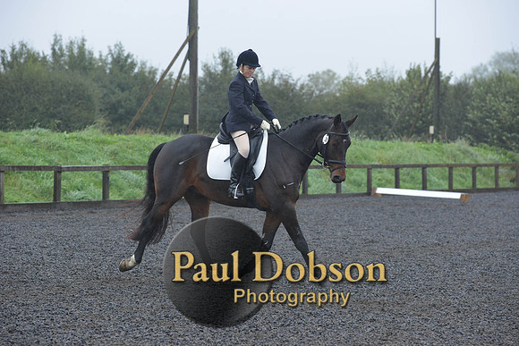 dressage-6585