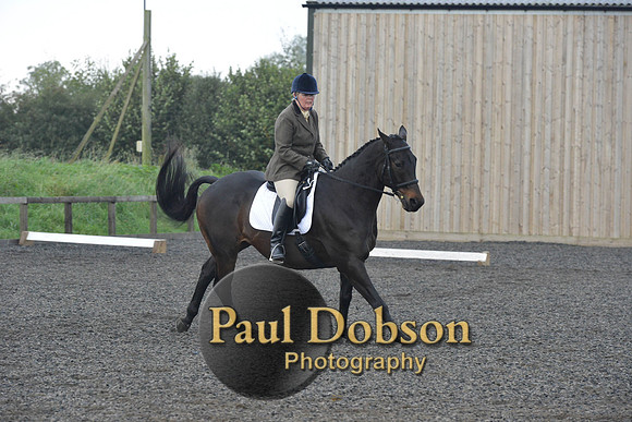 dressage-5194