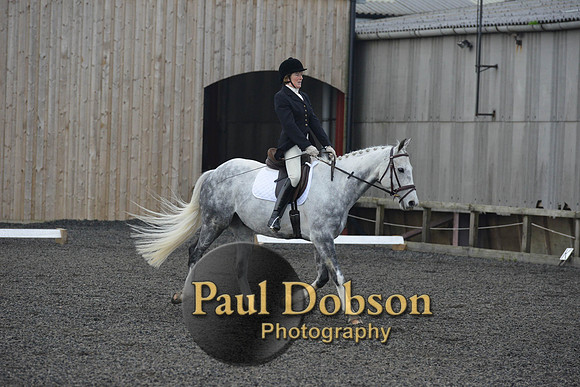 dressage-4540