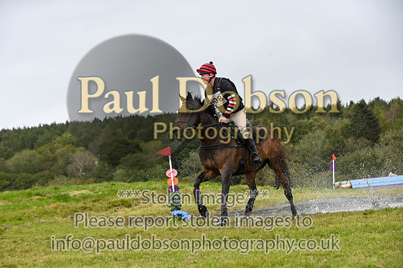 041_3785