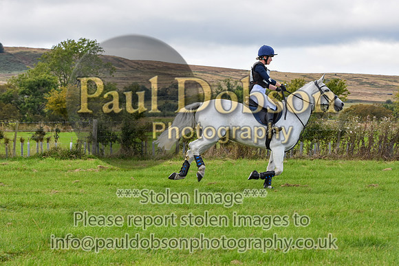080_2664f
