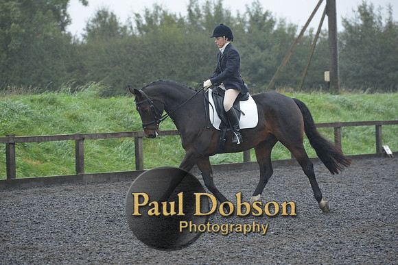 dressage-6612