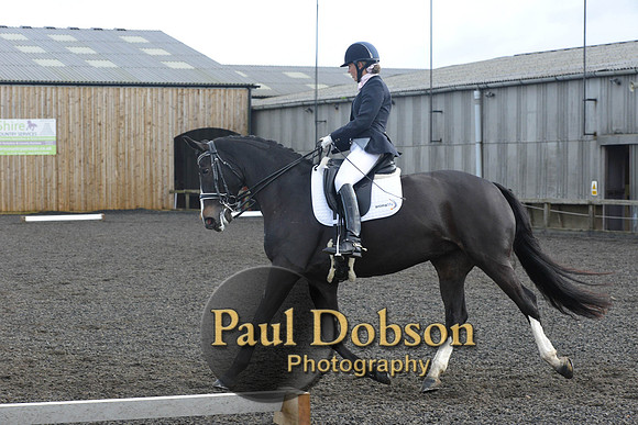 dressage-7278