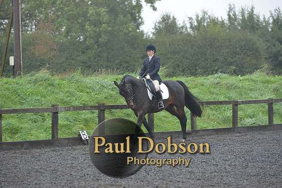 dressage-6605