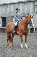 dressage-5427