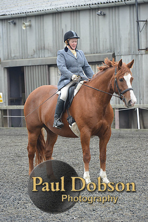 dressage-5427