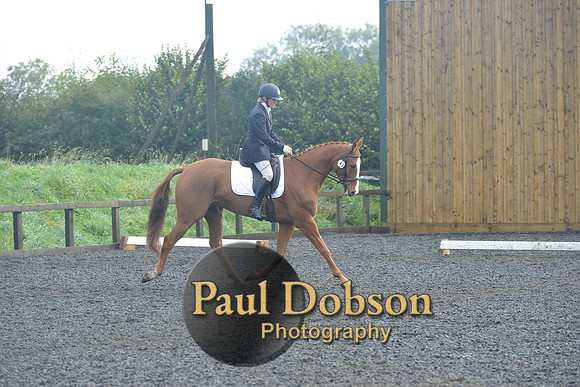 dressage-6780