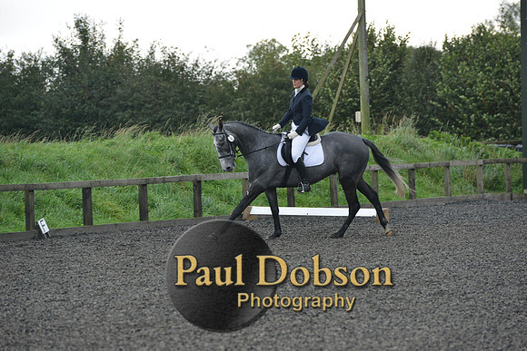 dressage-4121