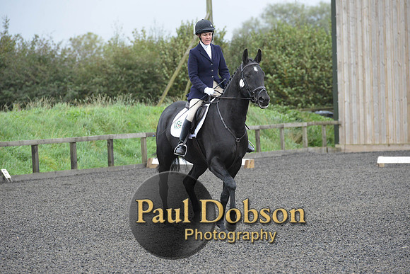 dressage-5897