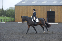 dressage-6590