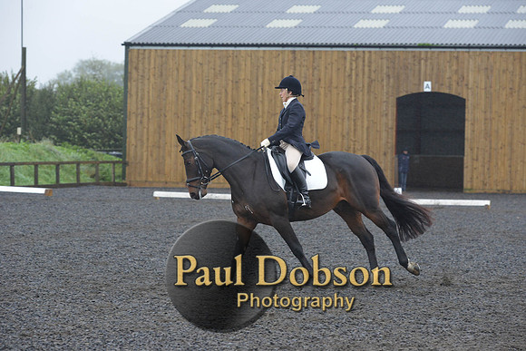 dressage-6590
