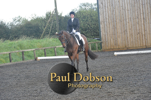 dressage-7309