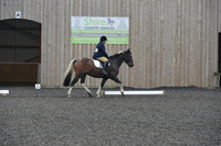 dressage-5695