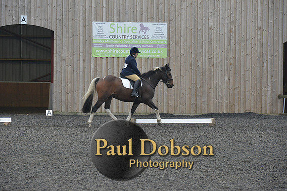 dressage-5695