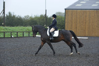 dressage-6591