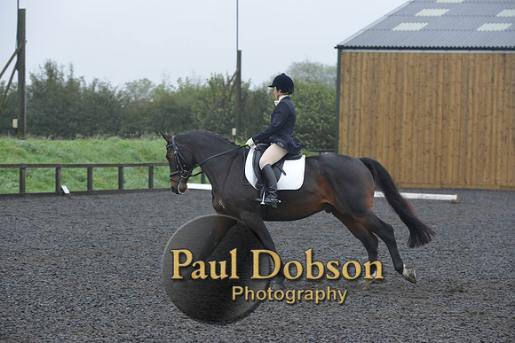 dressage-6591