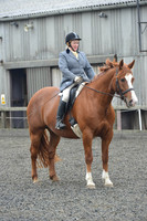 dressage-5428