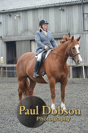 dressage-5428