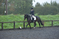 dressage-6583